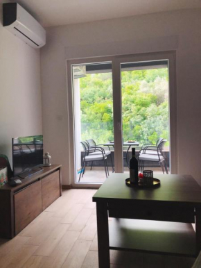 Friendly apartment, Budva